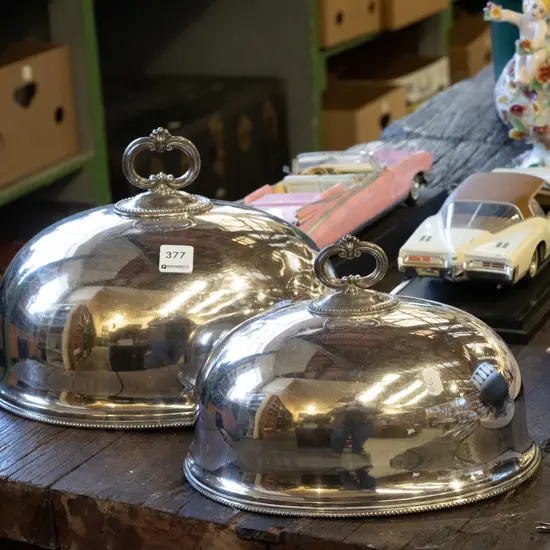 pair of plated food cover dishes