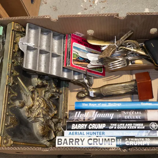 box; glass tray, gem irons, books etc