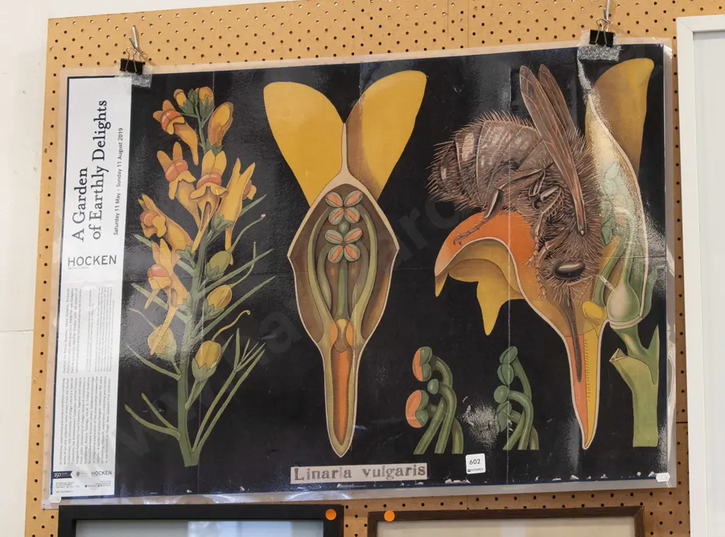 laminated botanical print Image 1++