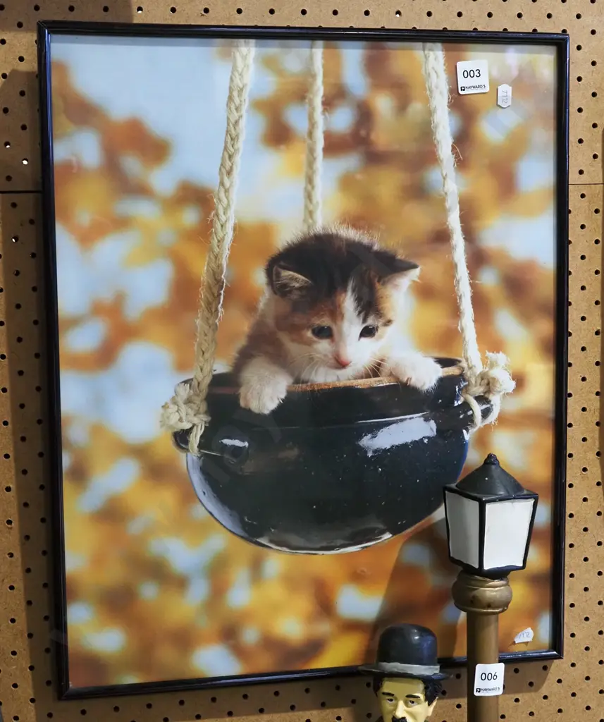 framed poster print - kitten in hanging  jardiniere Image 1++