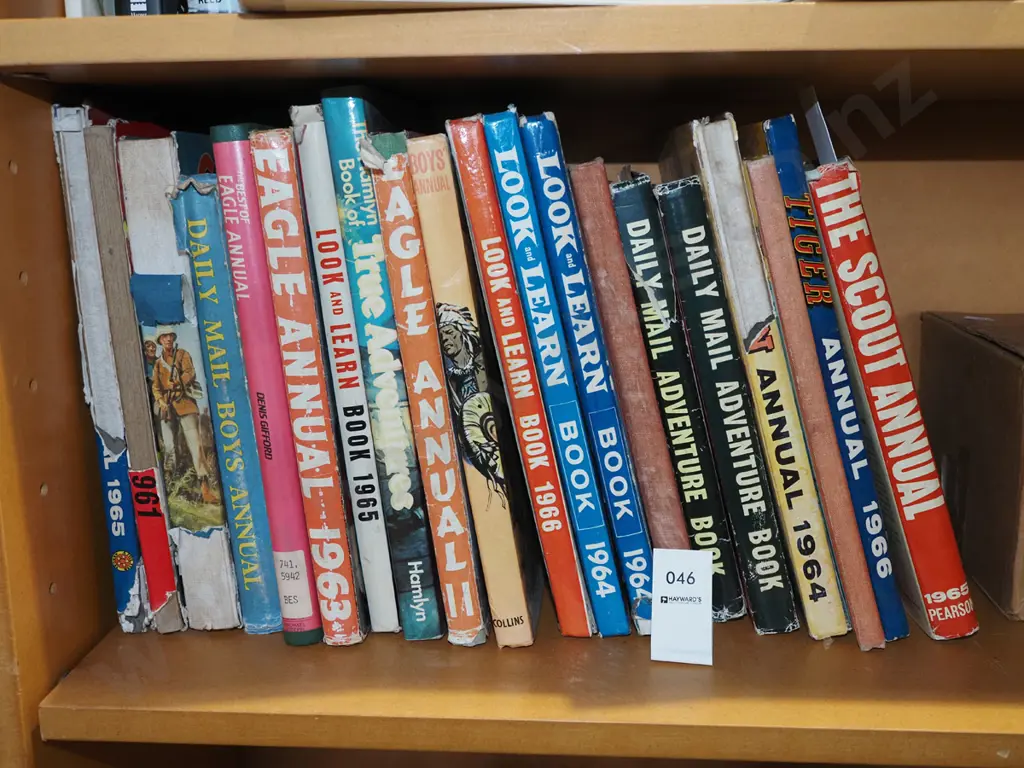 Eagle, Scout and other annuals Image 1++
