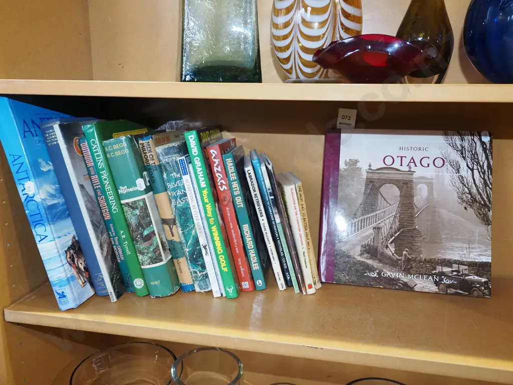 NZ and other books Image 1++