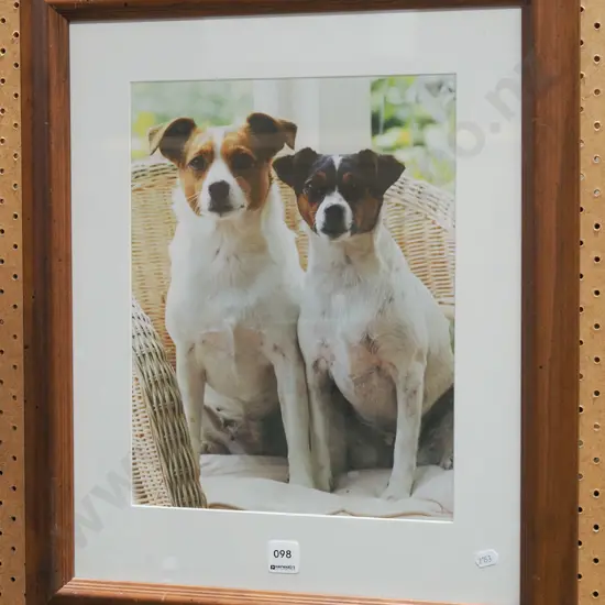 framed photo - 2 dogs