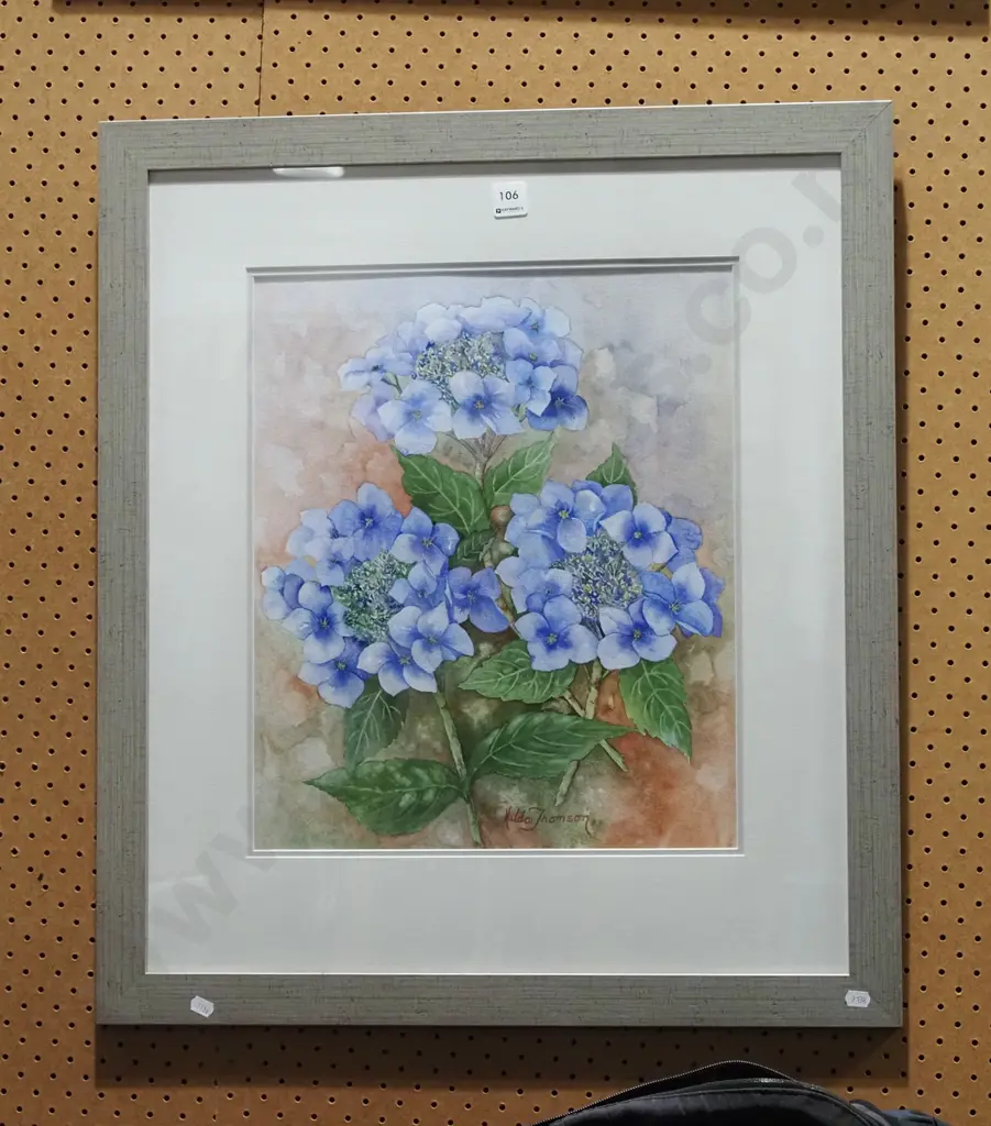 framed Hilda Thomson watercolour - hydrangeas Image 1++