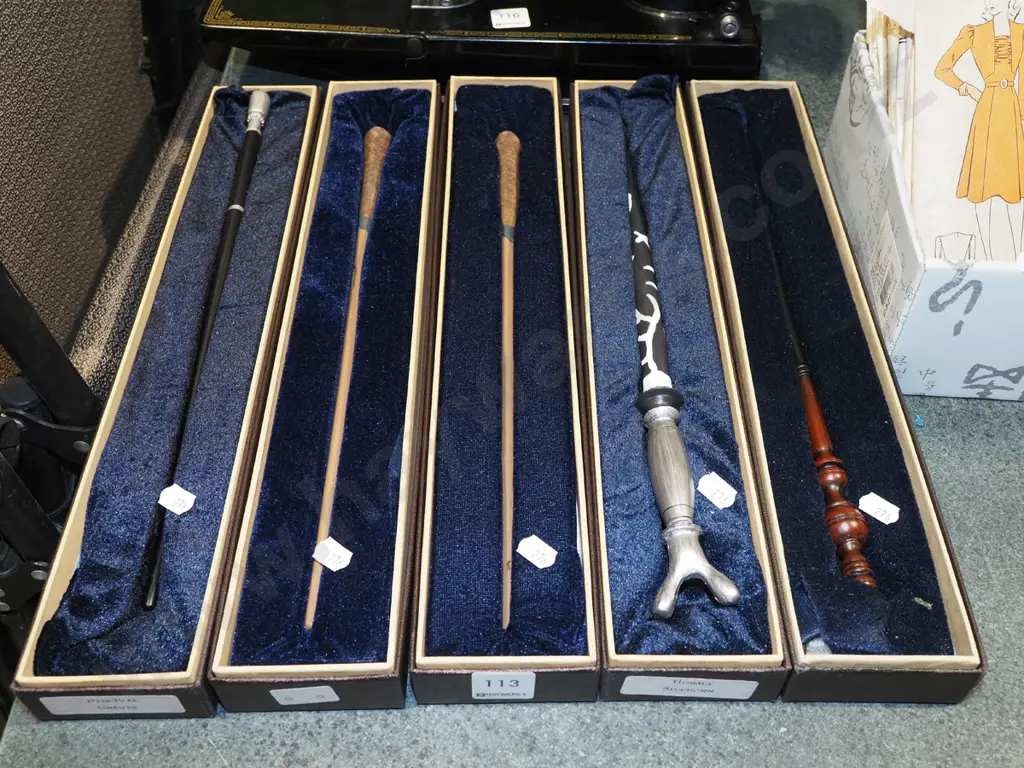 5x wands in cases Image 1++