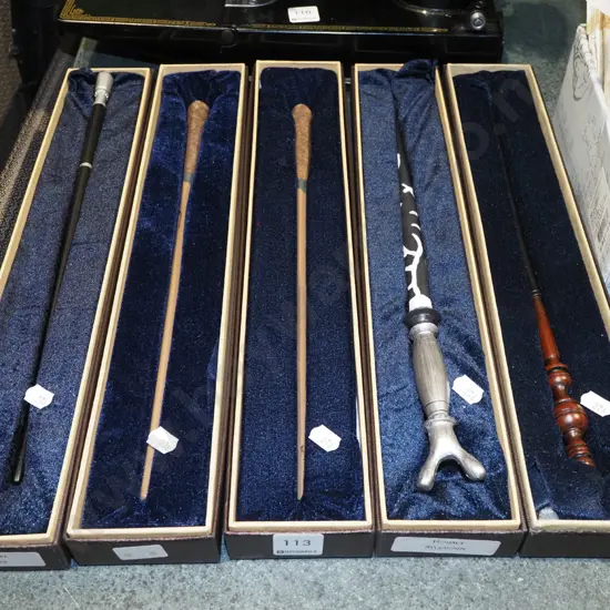 5x wands in cases