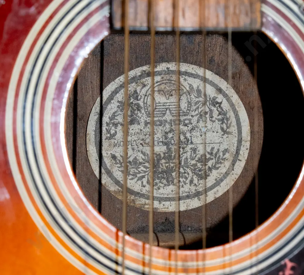 Hondo acoustic guitar and hard case Image 1++