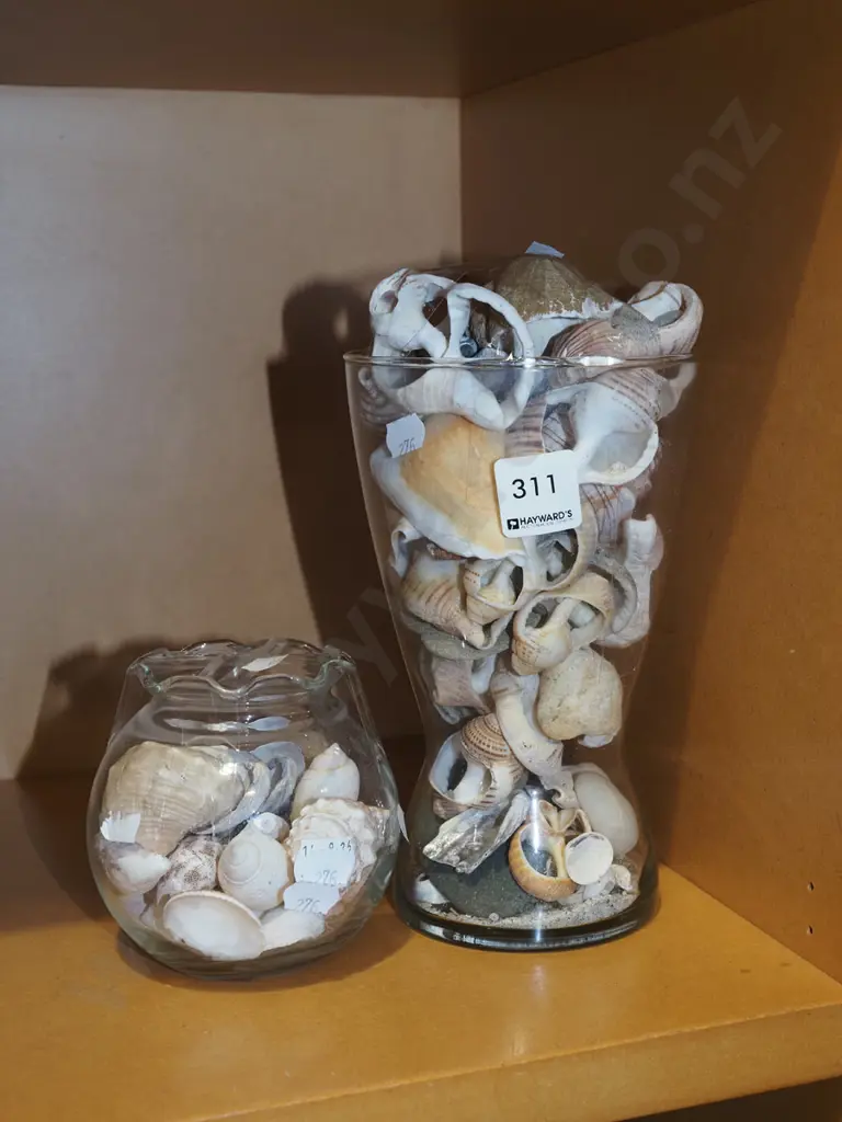 2x vases of seashells Image 1++
