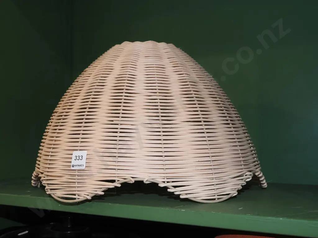 cane light fitting Image 1++