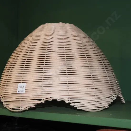 cane light fitting