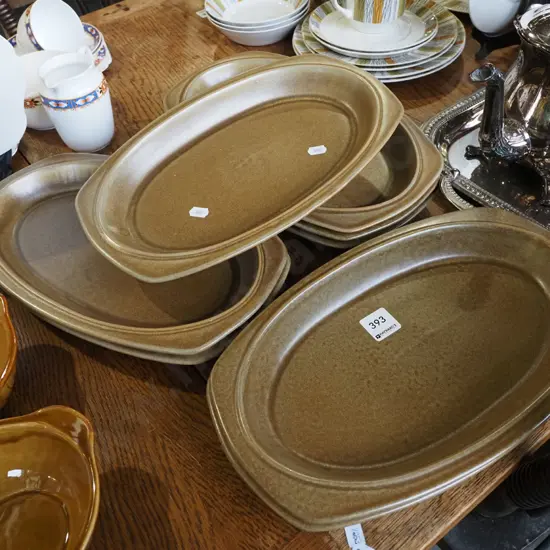 8x Temuka steak plates