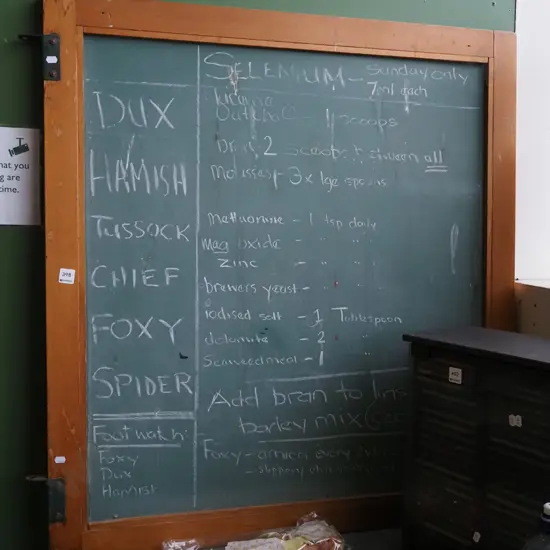part old school blackboard  H1000 W930