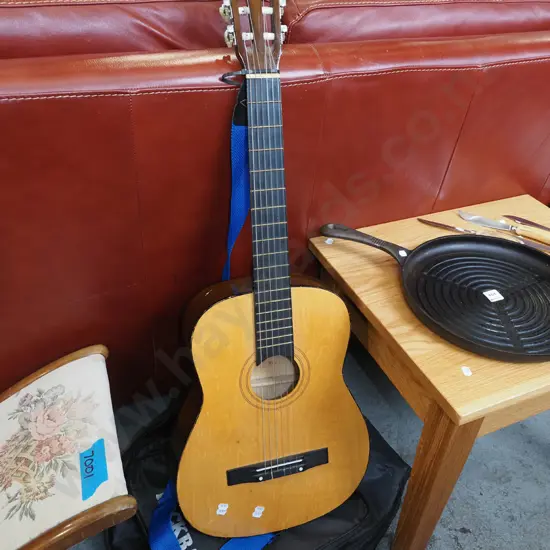 acoustic guitar and soft carry case