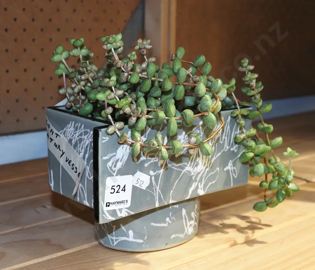 succulent in mid century ikebana vase Image 1++