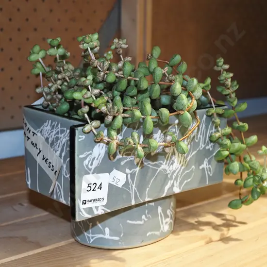succulent in mid century ikebana vase