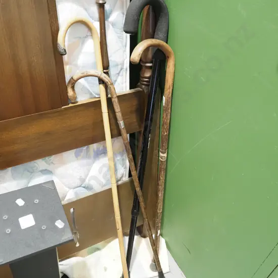 walking sticks