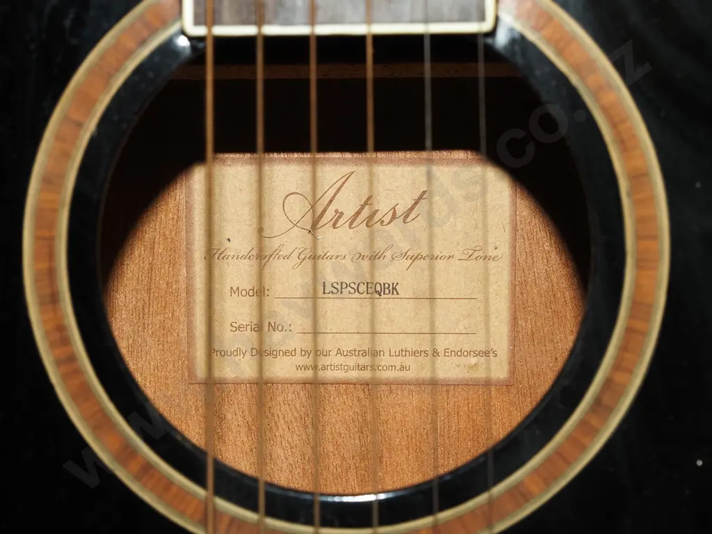 Artist acoustic guitar and stand Image 1++