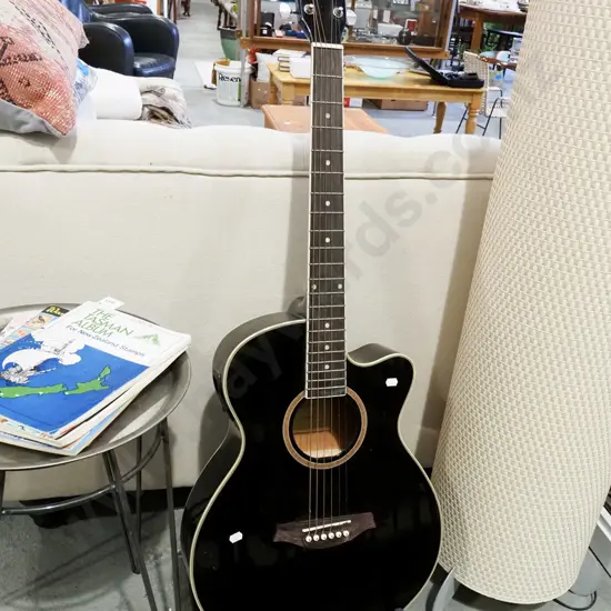 Artist acoustic guitar and stand