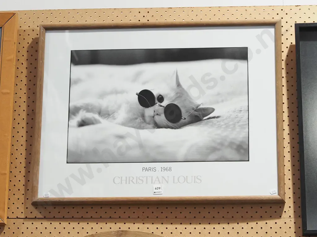 framed poster print - kitten in sunglasses Image 1++