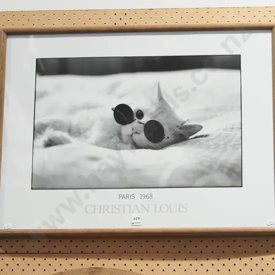 framed poster print - kitten in sunglasses