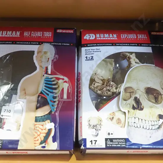 boxed 2x part anatomical human body parts