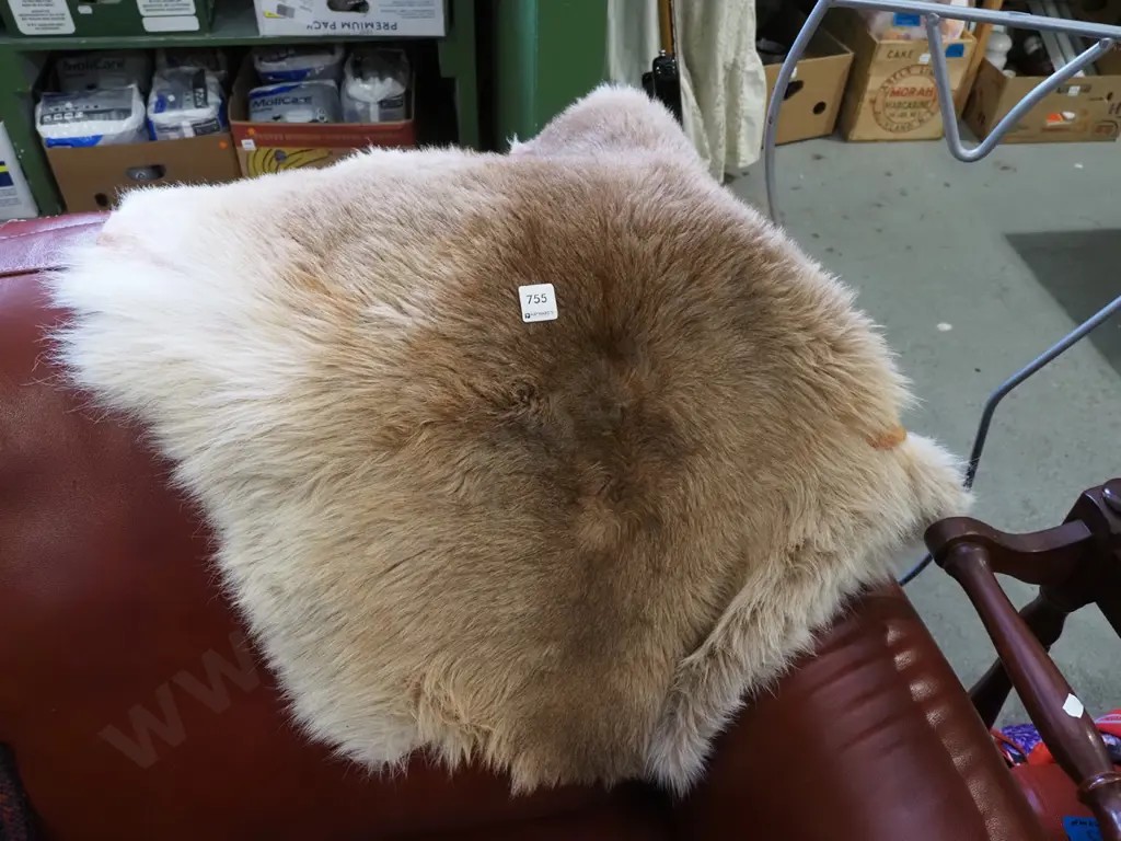 animal pelt Image 1++