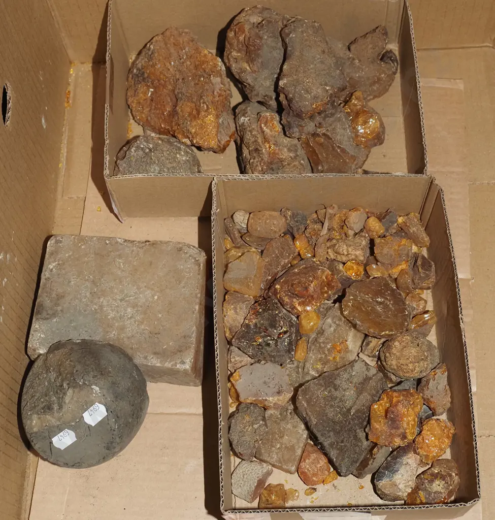box of kauri gum Image 1++