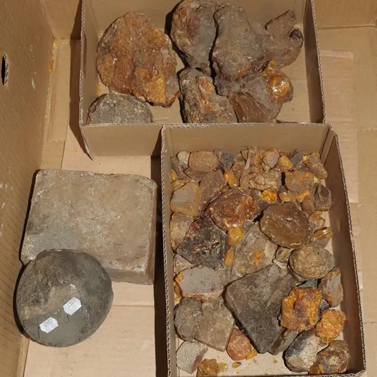 box of kauri gum