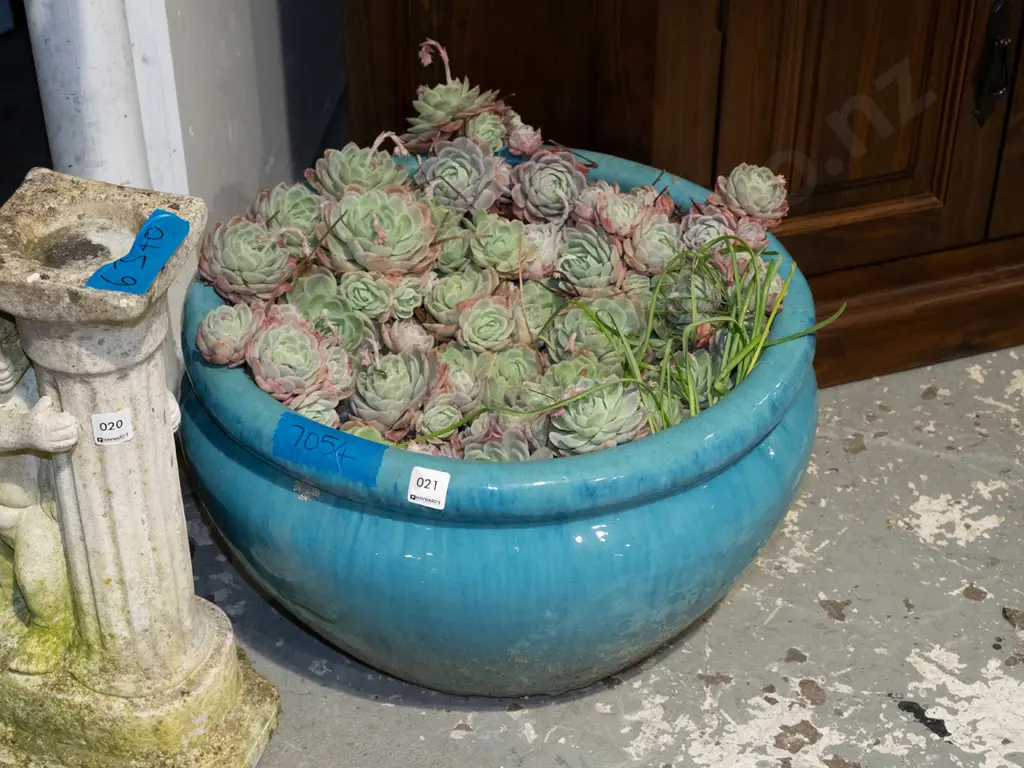 teal glazed garden planter and succulents Diam480 Image 1++
