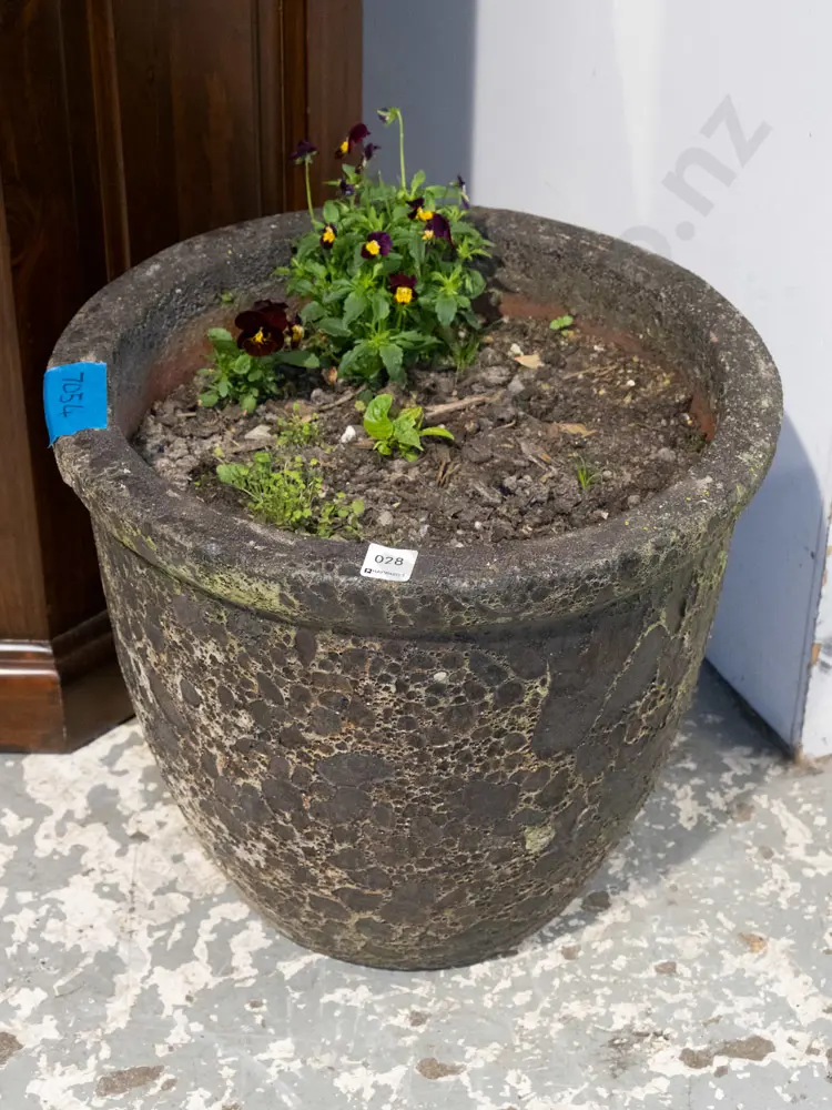 concrete garden planter and pansies Planter H370 Image 1++