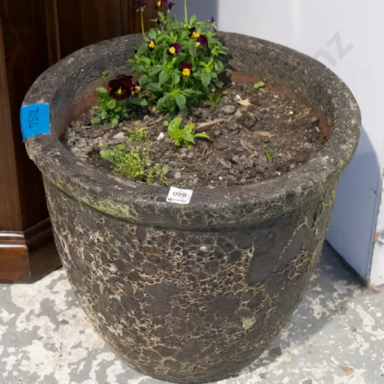 concrete garden planter and pansies Planter H370