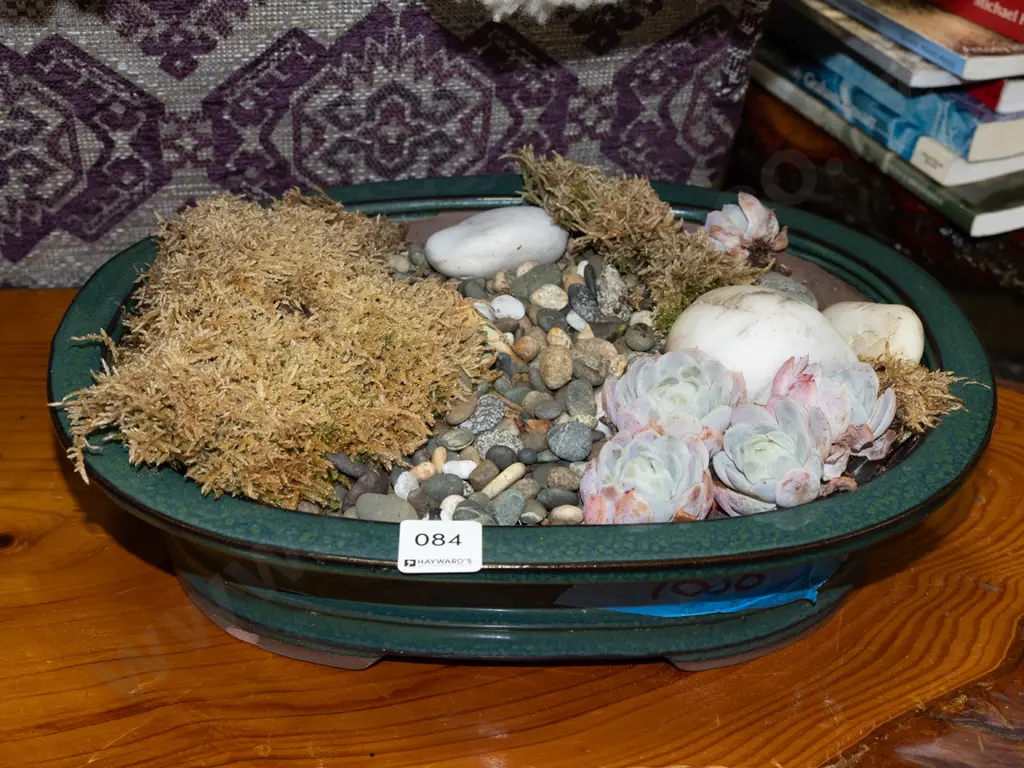 green glazed bonsai planter with moss and succulents Image 1++