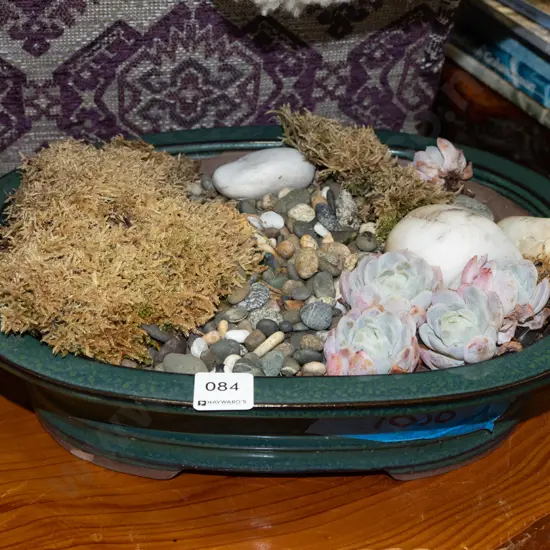 green glazed bonsai planter with moss and succulents