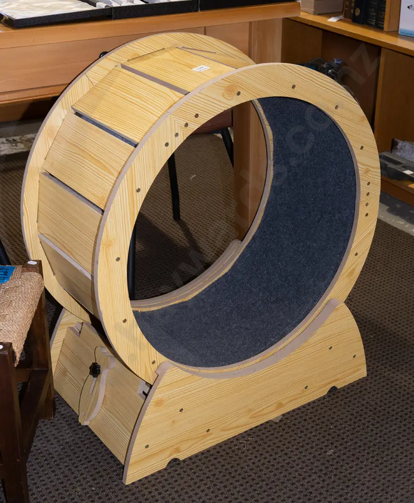 mdf faux wood exercise wheel - cat? Overall H745 Image 1++