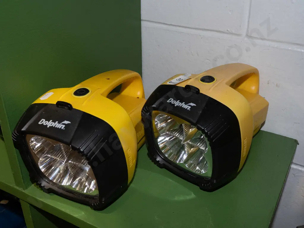 2x dolphin torches- need batteries Image 1++