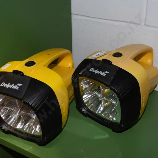 2x dolphin torches- need batteries