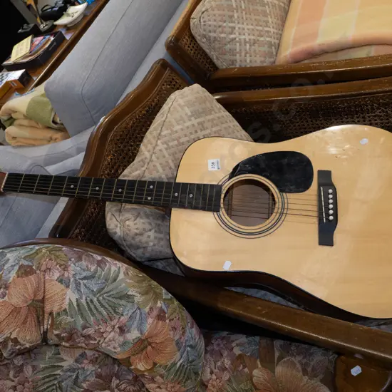 acoustic guitar