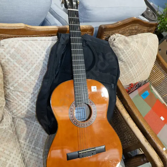 acoustic guitar