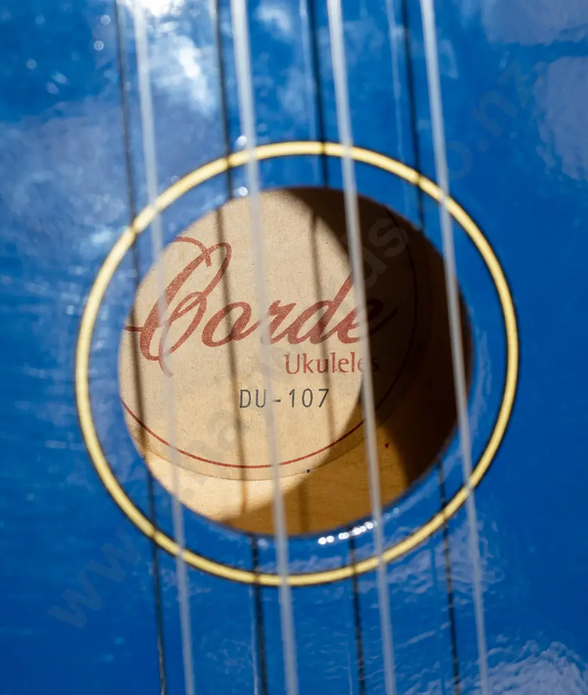 ukelele and case Image 1++