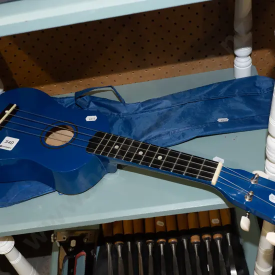 ukelele and case