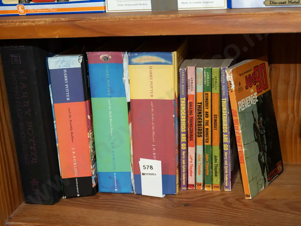 Harry Potter and Thunderbirds books Image 1++