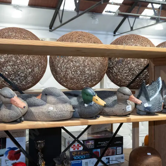 plastic duck decoys