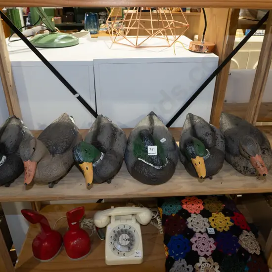 plastic duck decoys