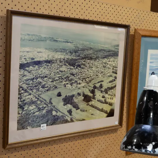 framed photo - Dunedin
