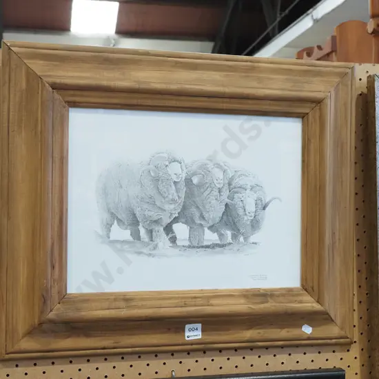 framed Merino rams print