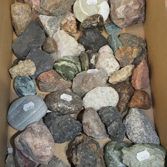 box of geological samples