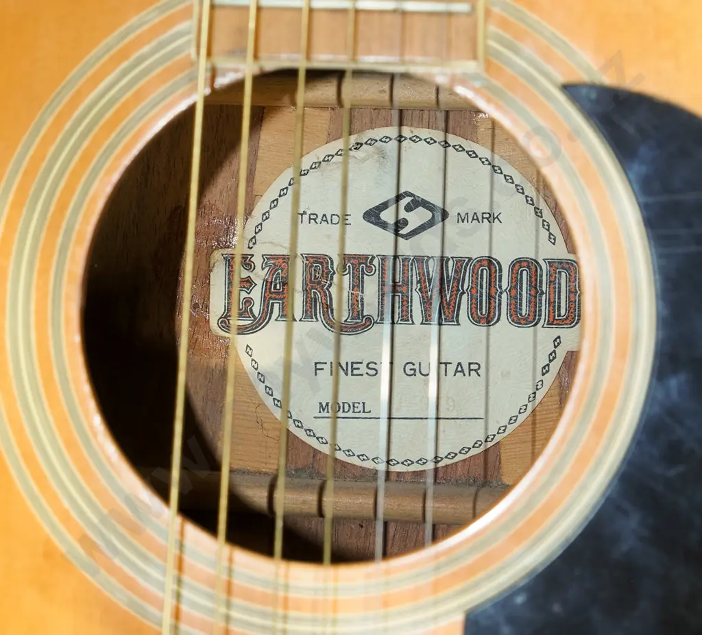 Earthwood acoustic guitar Image 1++