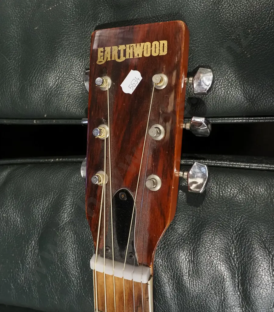 Earthwood acoustic guitar Image 1++