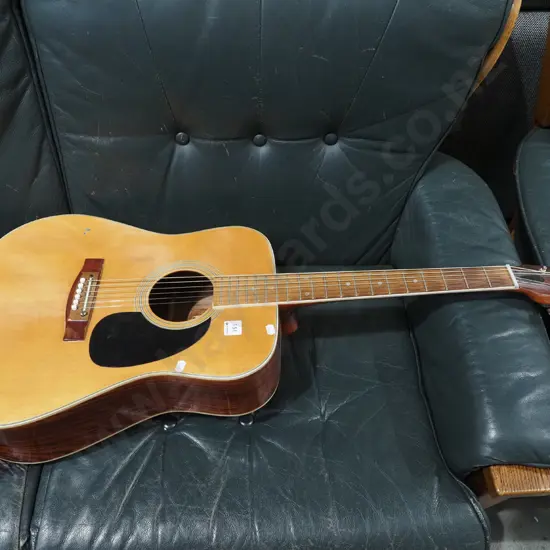 Earthwood acoustic guitar