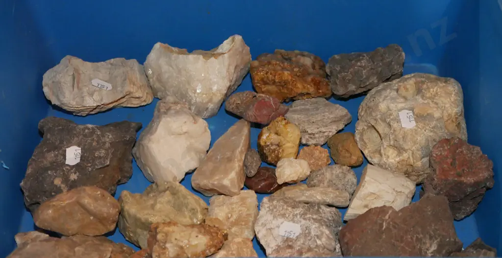 box; geological samples Image 1++